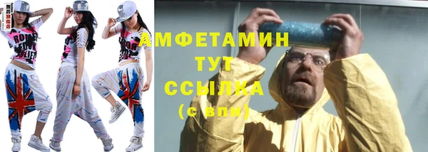мет Алексин