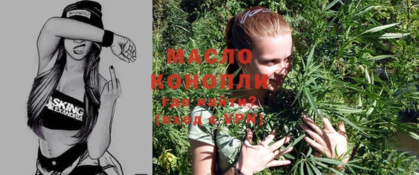 мет Алексин