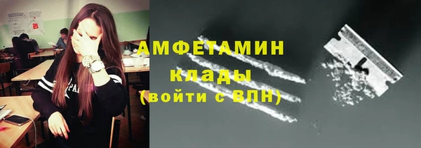 мет Алексин