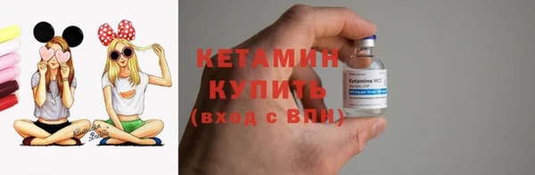 мет Алексин