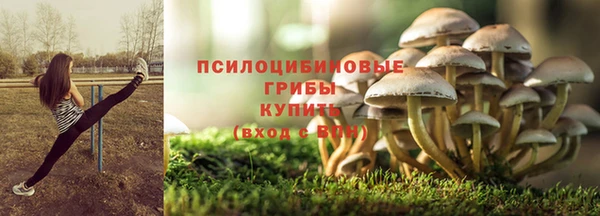 молекула духа Алзамай